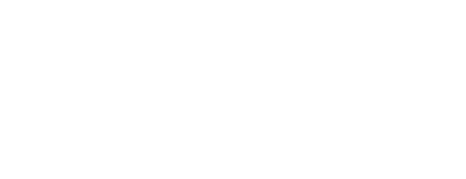 Limb Leng